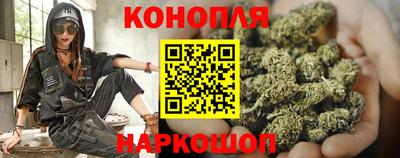 PSILOCYBIN Малоярославец