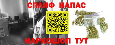 PSILOCYBIN Малоярославец