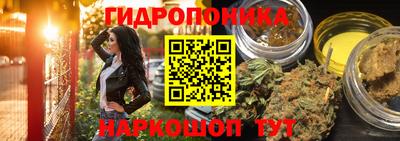 PSILOCYBIN Малоярославец