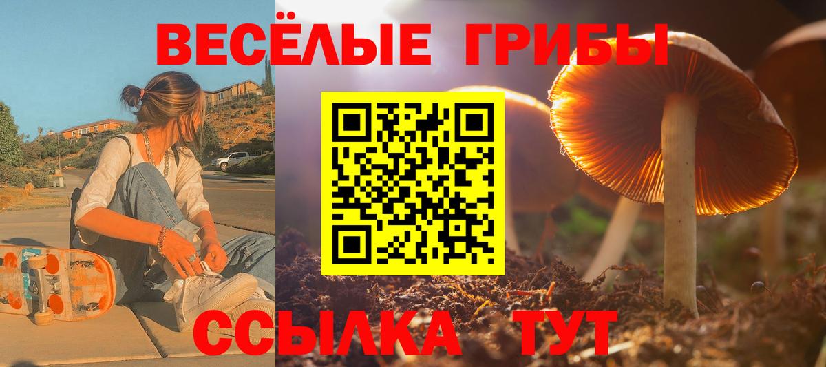 Псилоцибиновые грибы ЛСД Ярославль