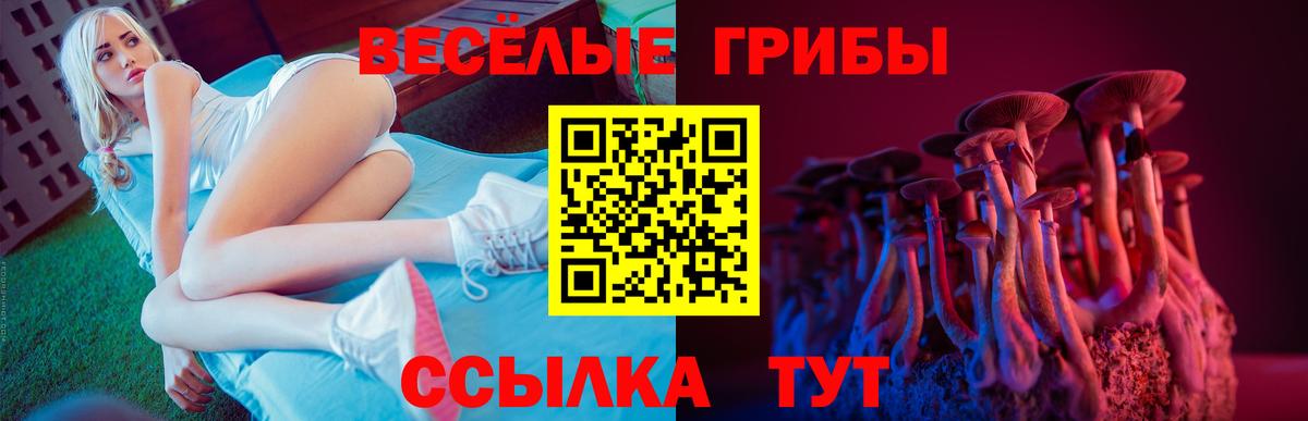 Псилоцибиновые грибы Magic Shrooms  Вход с VPN  Галлюциногенные грибы MAGIC MUSHROOMS  Ярославль 